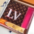 Louis Vuitton Scarf 040